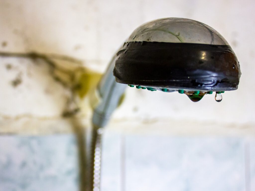 Leaking Shower Head
